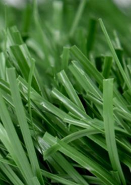 العشب الصناعي الهجين القابل لإعادة التدوير TS 100%